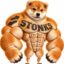 STONKS icon