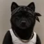 Nigga Inu icon