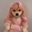 Wifu icon