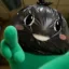 pumpfun icon