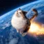 launchcat icon
