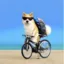 meta is Inu cycle ? icon