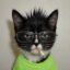Numan icon