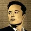ElonCoin icon