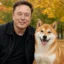 Elon's Dog icon