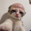Uncle Pussy icon