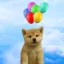I'm Now Up icon