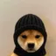 Criminul icon