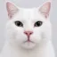 Tesla Cat icon