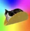 national taco day icon