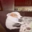 Side Eye Dog icon