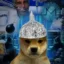dogwiffoilE5cwZULXaYpsiSni9xmiV3 icon