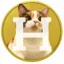 Hanacoin icon