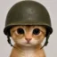Trencher icon