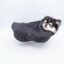 Dog In Hoodie icon