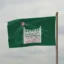 Republic of Piddington icon