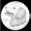 DOGCOIN icon