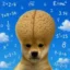 inutelligencе icon