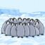 Huddle icon