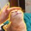 Bunting Cat icon