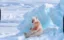 Neitzschean Bear icon