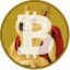 Bogecoin icon