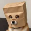 Anonymous Doge icon