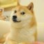 KabosuCoin icon