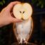 Appowl icon