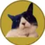 ONIGIRICOIN icon