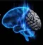 Brain Patch icon