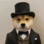 Agentinu icon