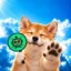 Agentless icon