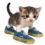 Cat In Gems icon