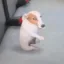 New guy is chill icon