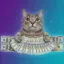 money spread icon