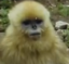 方糖 icon