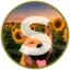 Sol Coin icon