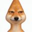 Put Inu icon