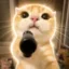 Cat Wif Gun icon