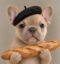 Frenchie icon