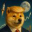 TRUMPDOGE icon