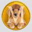Millercoin icon