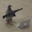 Armed and Online Pigeon icon