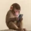 apeonifone icon