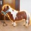 smol horse icon