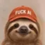 The Anti Ai Sloth icon