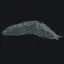 name icon