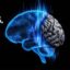 Brain Patch icon