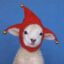 fool icon
